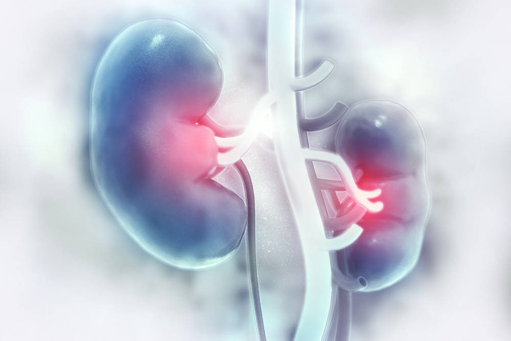 Kidney Health Digest